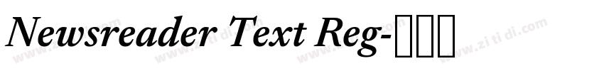Newsreader Text Reg字体转换